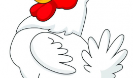 鸡动漫,萌鸡奇遇记