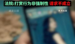 毛片视频免费观看,揭秘免费毛片视频观看背后的真相